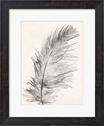 Framed Feather 1 Light Print