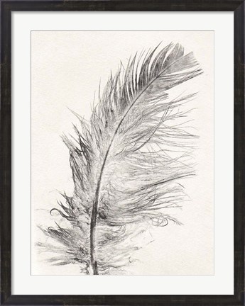 Framed Feather 1 Light Print