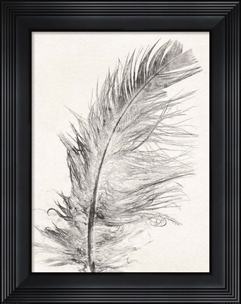 Framed Feather 1 Light Print