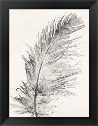 Framed Feather 1 Light Print