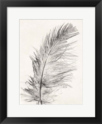 Framed Feather 1 Light Print