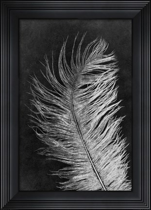Framed Feather 3 Dark Print