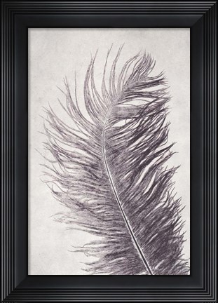 Framed Feather 4 Light Print