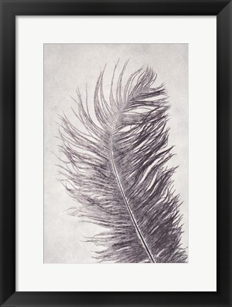 Framed Feather 4 Light Print