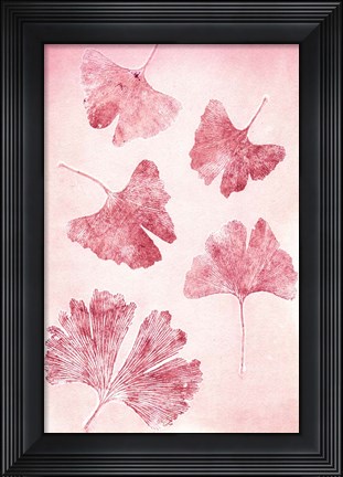 Framed Ginkgo 4 Sorbet Print