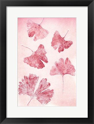 Framed Ginkgo 4 Sorbet Print