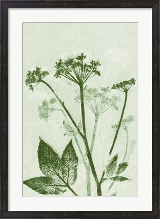 Framed Ground Elder Green Print