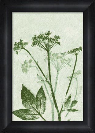 Framed Ground Elder Green Print