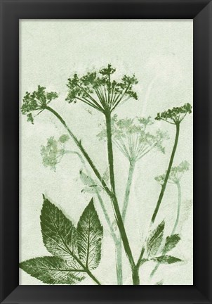 Framed Ground Elder Green Print