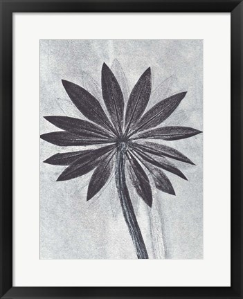 Framed Lupine Smoke Print