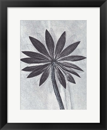 Framed Lupine Smoke Print