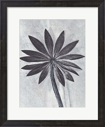 Framed Lupine Smoke Print