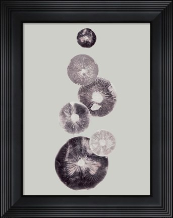 Framed Mushroom Light Grey Print