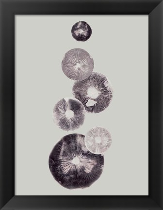 Framed Mushroom Light Grey Print