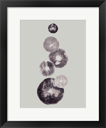 Framed Mushroom Light Grey Print