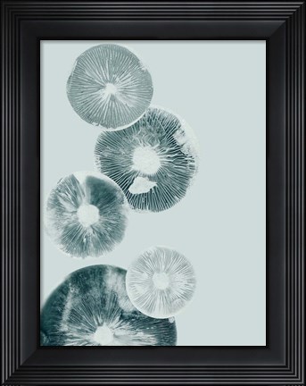 Framed Mushroom Light Teal Print