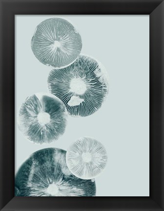 Framed Mushroom Light Teal Print