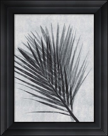 Framed Palm 1 Grey Print