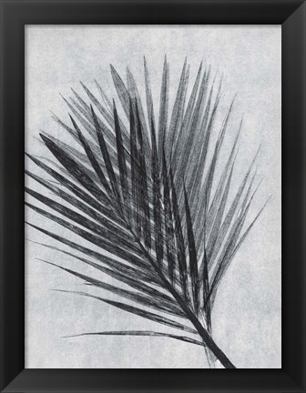 Framed Palm 1 Grey Print