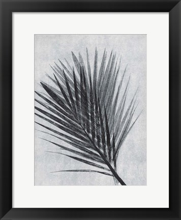 Framed Palm 1 Grey Print