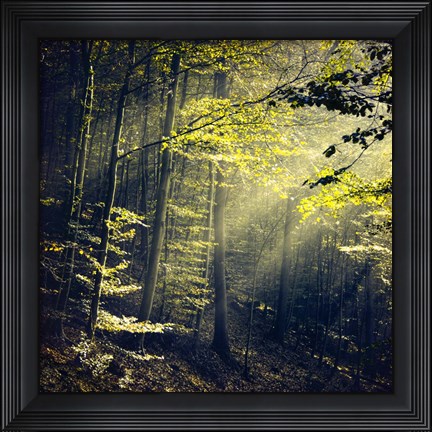 Framed Being There Revisited Print