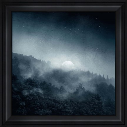 Framed Night Shadows Print
