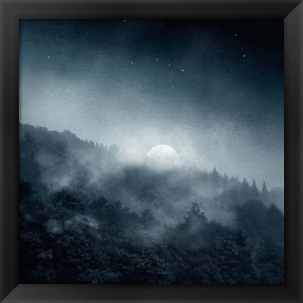 Framed Night Shadows Print