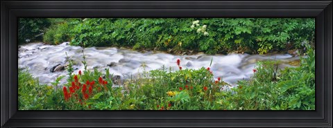 Framed Grand Teton Park, Wyoming Print