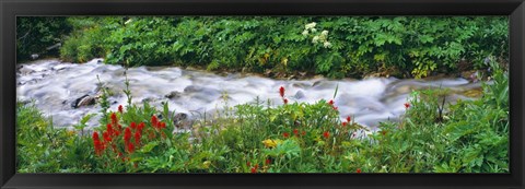 Framed Grand Teton Park, Wyoming Print