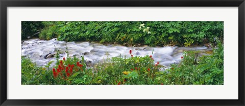 Framed Grand Teton Park, Wyoming Print