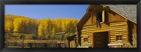 Framed Cowboy sitting on a window of a log cabin, Colorado Print