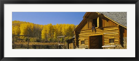 Framed Cowboy sitting on a window of a log cabin, Colorado Print