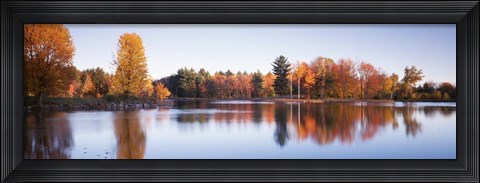 Framed Trees in autumn along a lake, Canterbury Print