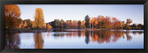Framed Trees in autumn along a lake, Canterbury Print