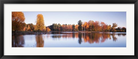 Framed Trees in autumn along a lake, Canterbury Print