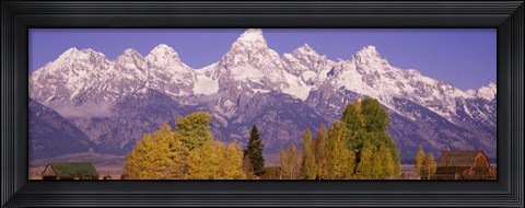 Framed Snowcapped Teton Range, Wyoming Print
