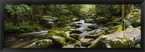 Framed River running through a forest, Tennessee Print