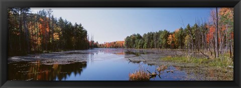 Framed Autumn trees along a lake, Catskill Mountains Print