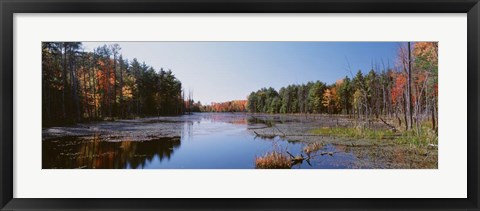 Framed Autumn trees along a lake, Catskill Mountains Print