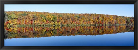 Framed Trees along a lake, Lake Hamilton, Massachusetts Print