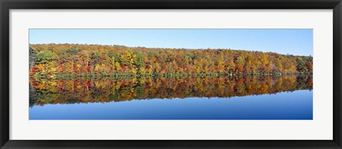 Framed Trees along a lake, Lake Hamilton, Massachusetts Print