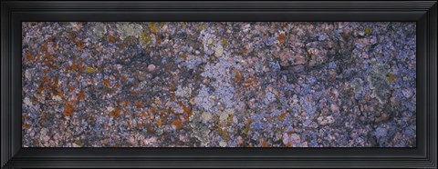 Framed Feldspar granite, Sherman Mountains, Wyoming Print