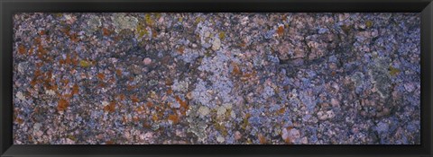 Framed Feldspar granite, Sherman Mountains, Wyoming Print
