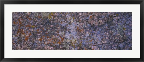 Framed Feldspar granite, Sherman Mountains, Wyoming Print