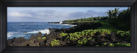 Framed Plants on a rocky landscape, Maui, Hawaii Print