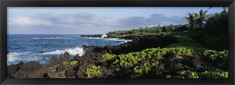 Framed Plants on a rocky landscape, Maui, Hawaii Print