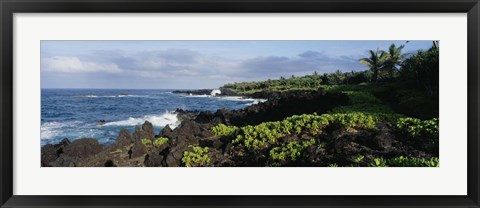 Framed Plants on a rocky landscape, Maui, Hawaii Print