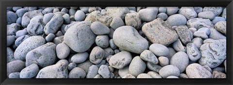 Framed Beach Rocks Acadia National Park Print