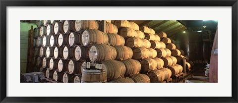 Framed Napa Wine Country Stag&#39;s LeapWine Cellars Barrel Room Print