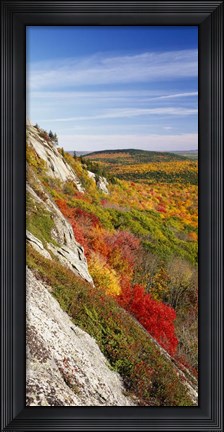Framed Trees on a landscape, Clifton, Maine, New England Print
